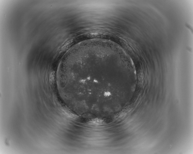 X0000095510278200712281444
