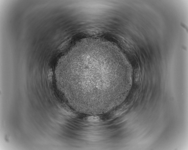 X0000095510279200712281444