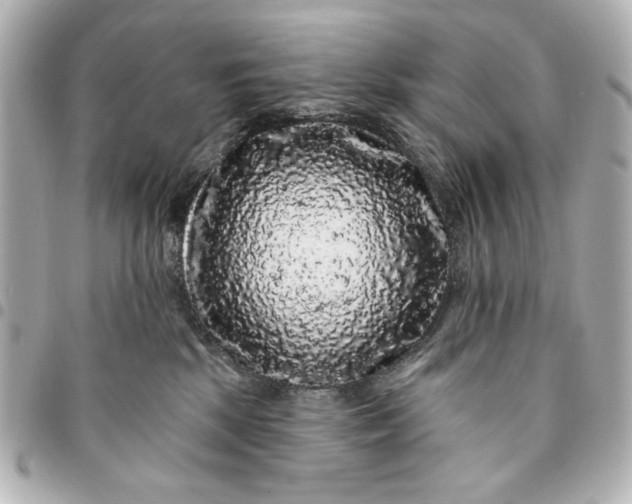 X0000095510281200712281444