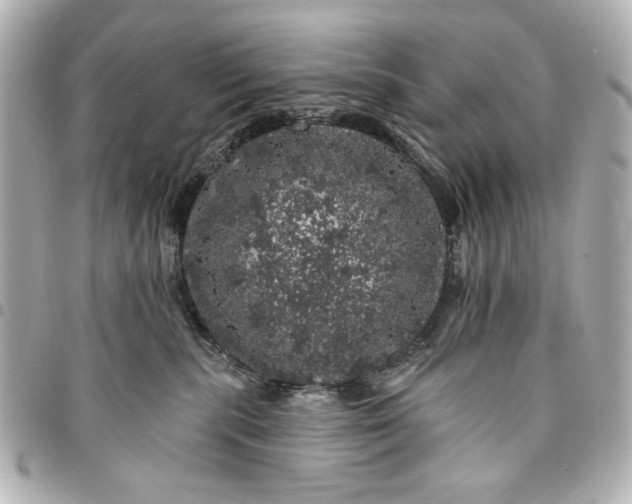 X0000095510283200712281444