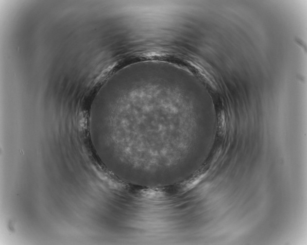 X0000095510284200712281444