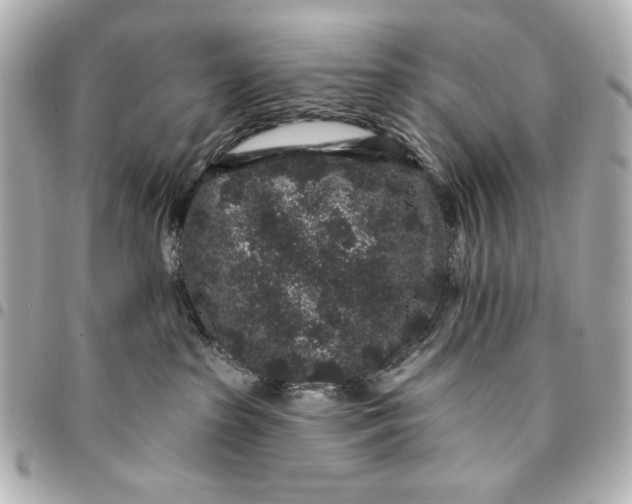 X0000095510285200712281444