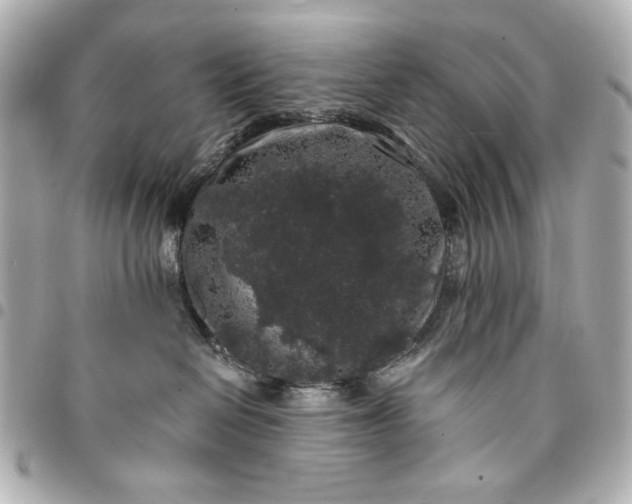 X0000095510286200712281444