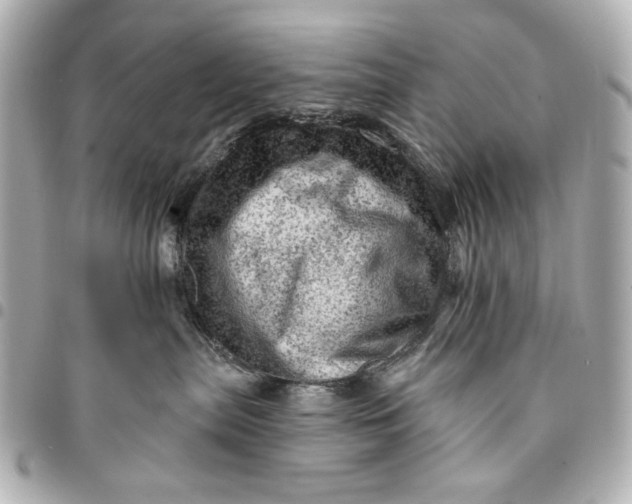 X0000095510287200712281444