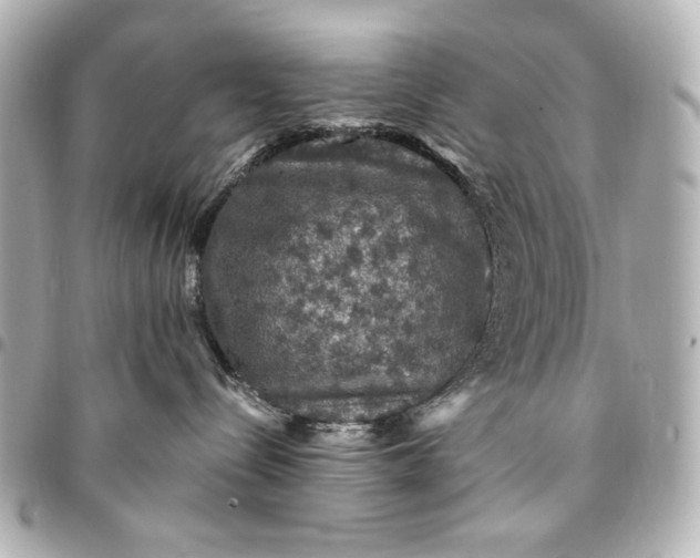 X0000095510288200712281444