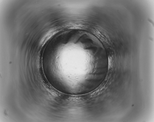 X0000095510291200712281444
