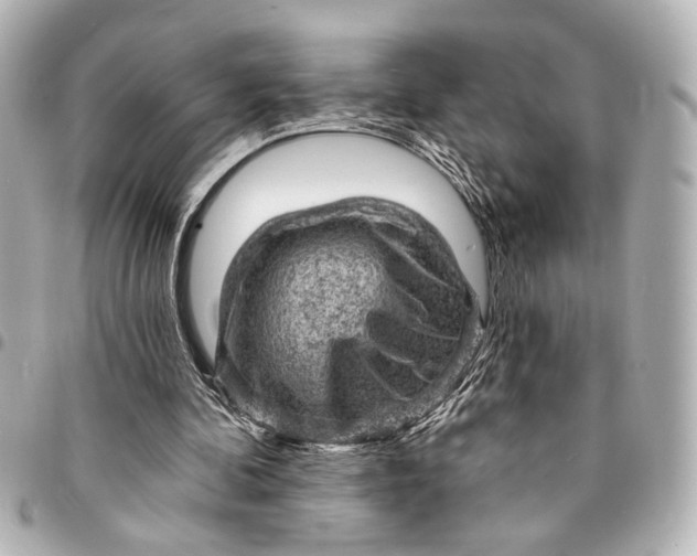 X0000095510292200712281444
