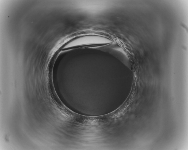 X0000095510295200712281444