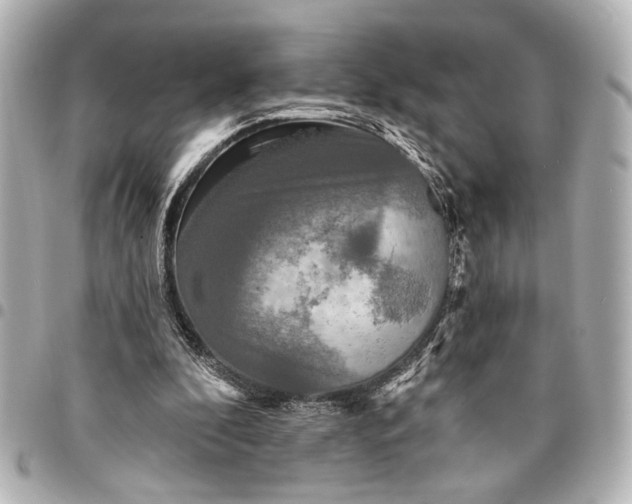 X0000095510296200712281444