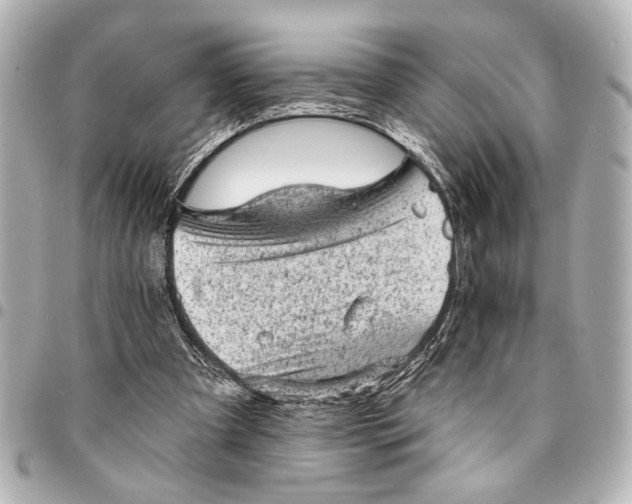 X0000095510297200712281444