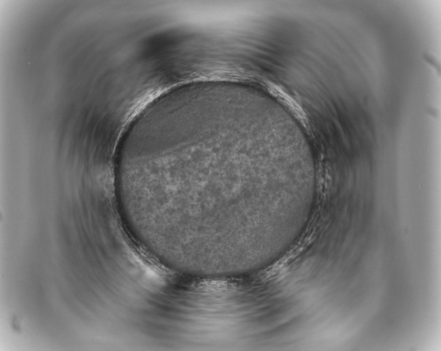 X0000095510298200712281444