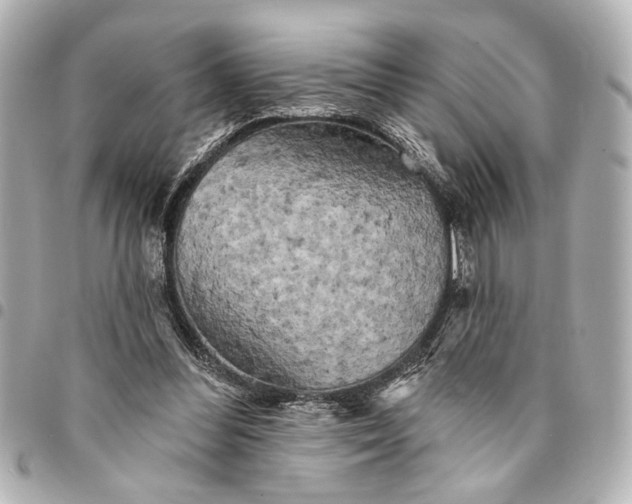 X0000095510300200712281444