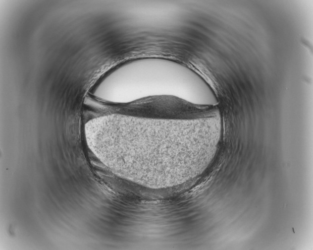 X0000095510301200712281444