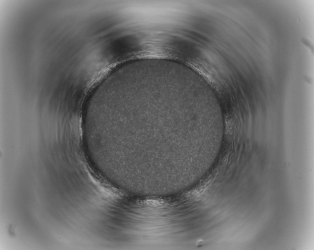 X0000095510302200712281444