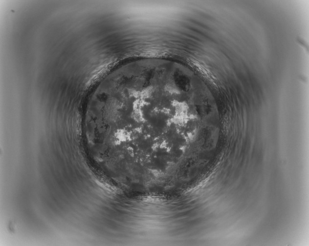 X0000095510303200712281444