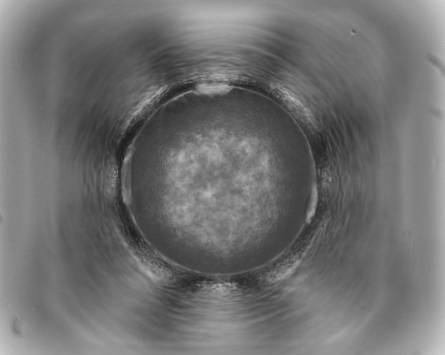X0000095510304200712281444