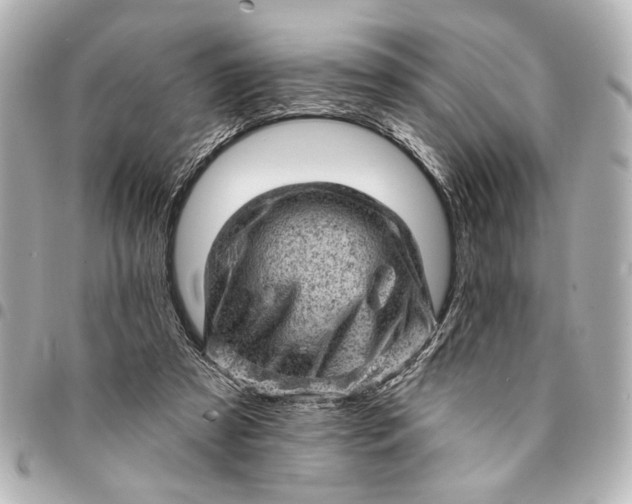 X0000095510305200712281444