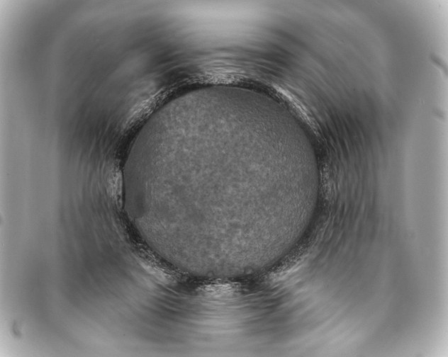 X0000095510307200712281444