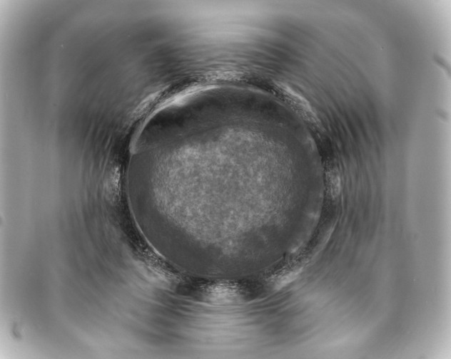X0000095510308200712281444