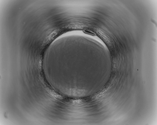 X0000095510309200712281444