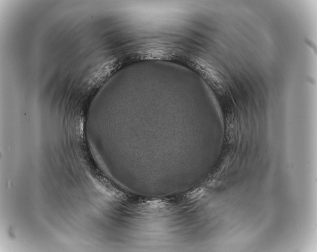 X0000095510310200712281444