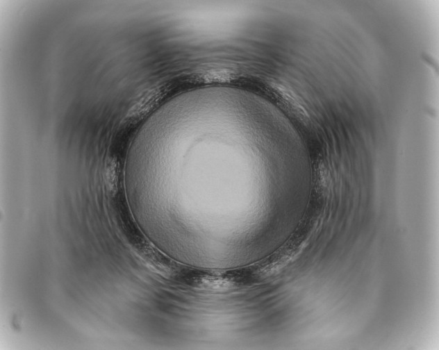 X0000095510311200712281444