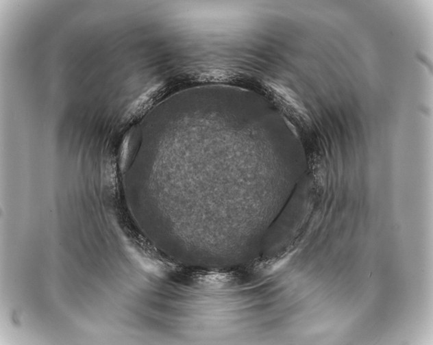 X0000095510312200712281444