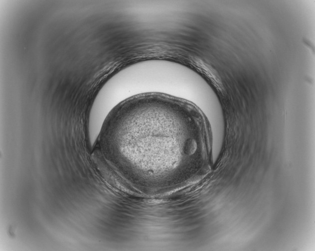 X0000095510313200712281443