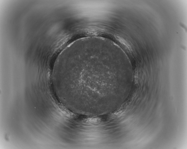 X0000095510314200712281443