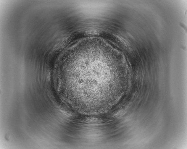 X0000095510315200712281443