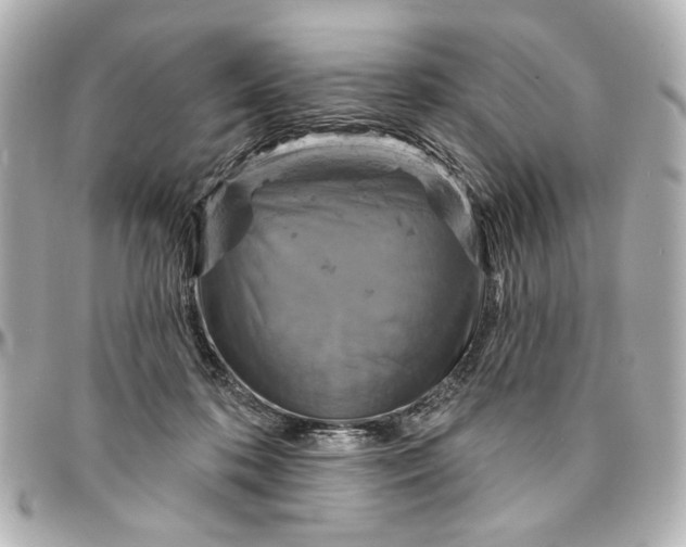 X0000095510316200712281443