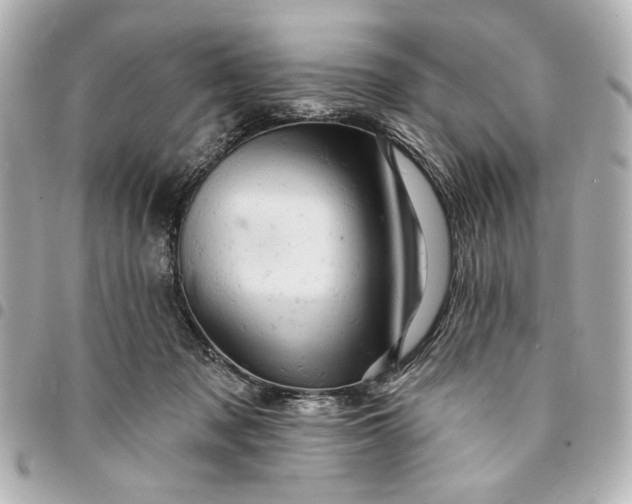 X0000095510317200712281443