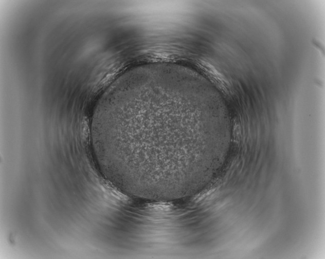 X0000095510318200712281443