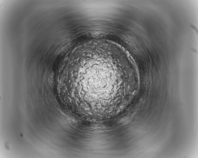 X0000095510319200712281443