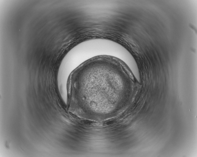 X0000095510320200712281443