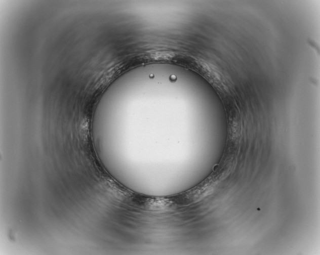 X0000095510321200712281443