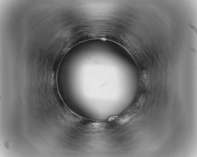 X0000095510323200712281443