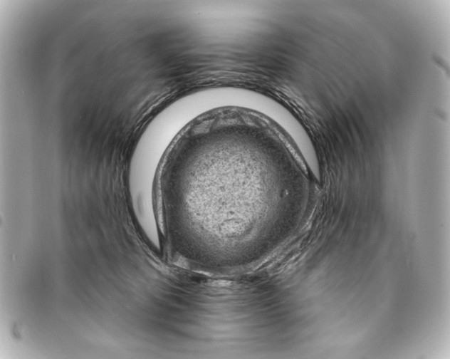 X0000095510325200712281443