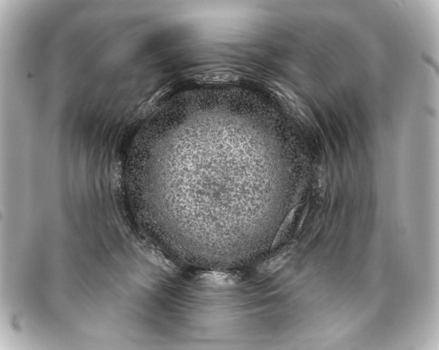 X0000095510326200712281443