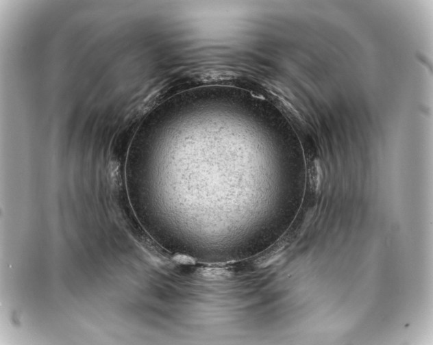 X0000095510327200712281443