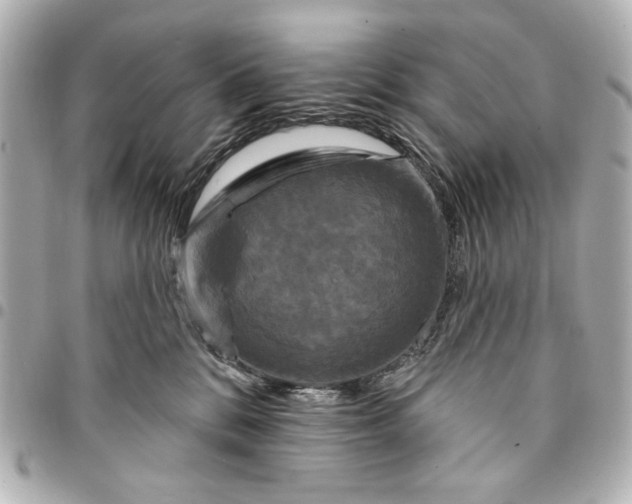 X0000095510328200712281443