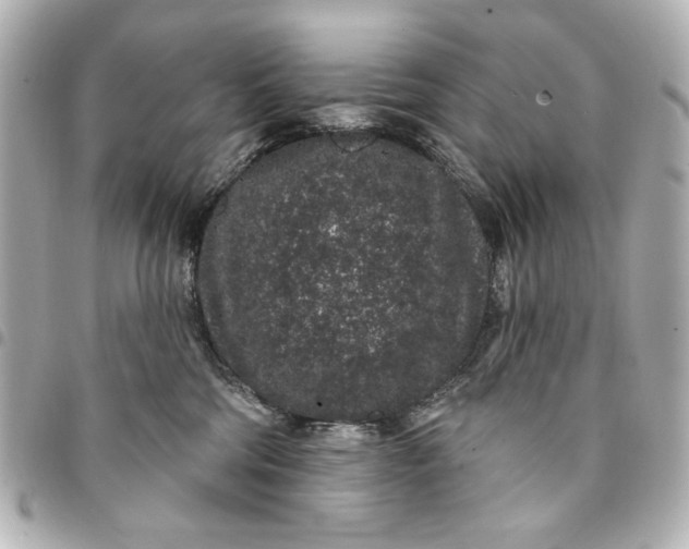 X0000095510330200712281443