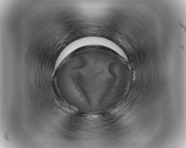 X0000095510332200712281443