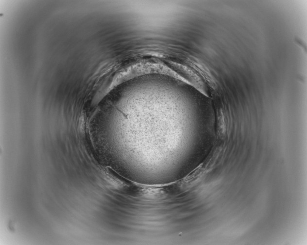 X0000095510333200712281443