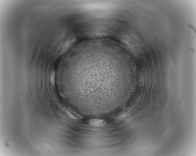 X0000095510334200712281443
