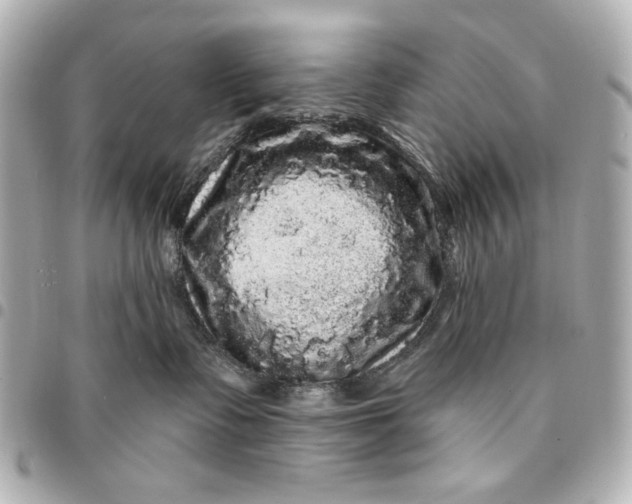 X0000095510335200712281443