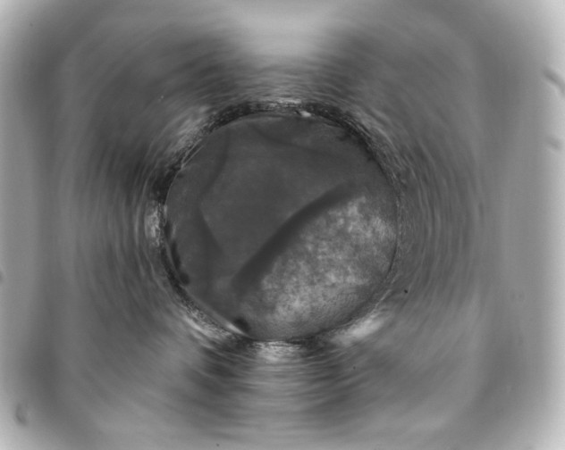 X0000095510336200712281443