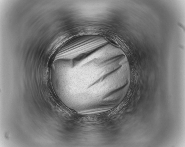 X0000095510338200712281443