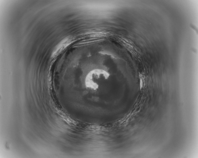 X0000095510339200712281443