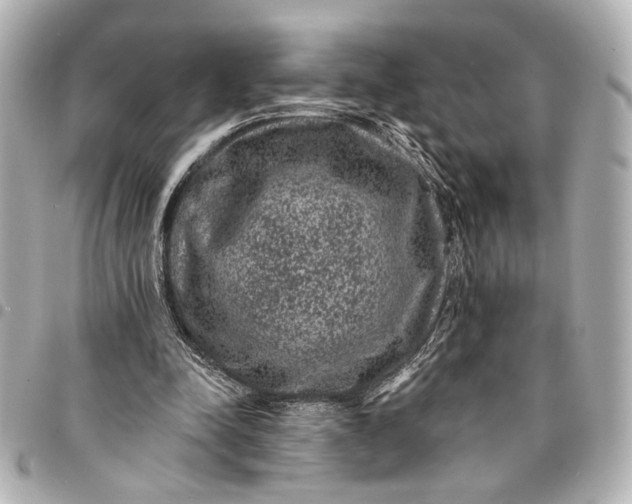 X0000095510342200712281443